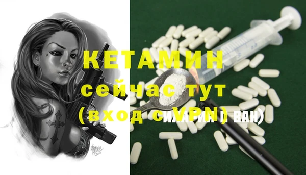 ПСИЛОЦИБИНОВЫЕ ГРИБЫ Няндома