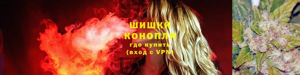 ПСИЛОЦИБИНОВЫЕ ГРИБЫ Няндома
