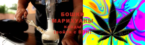 ПСИЛОЦИБИНОВЫЕ ГРИБЫ Няндома