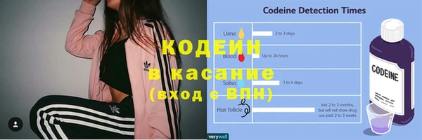 ПСИЛОЦИБИНОВЫЕ ГРИБЫ Няндома