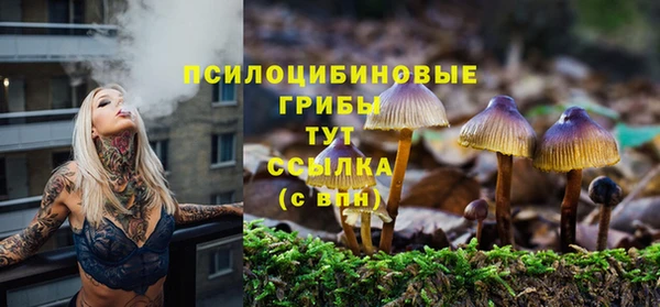 а пвп мука Нягань