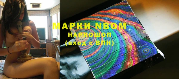 ПСИЛОЦИБИНОВЫЕ ГРИБЫ Няндома