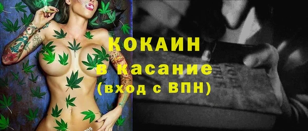 ПСИЛОЦИБИНОВЫЕ ГРИБЫ Няндома