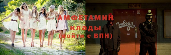 ПСИЛОЦИБИНОВЫЕ ГРИБЫ Няндома