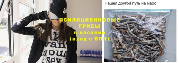 spice Нязепетровск