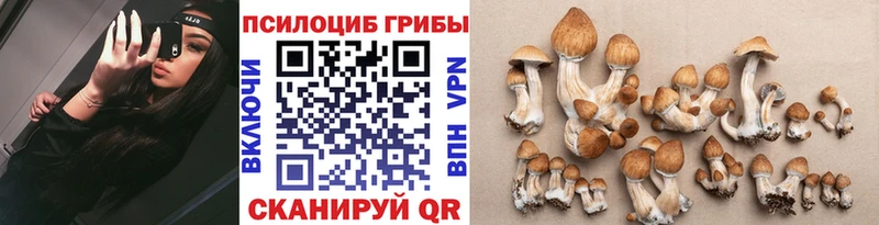 Псилоцибиновые грибы Psilocybe  наркотики  Усть-Кут 